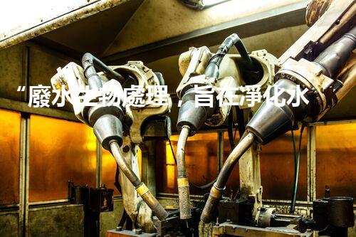 “廢水生物處理，旨在凈化水源，守護(hù)碧水藍(lán)天”